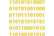 IT Services