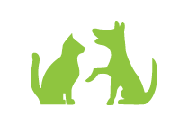 Pets and Animals