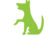 Small female dog