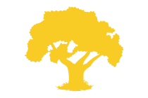 Tree Surgeon