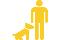 Dog Trainer