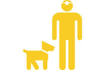Veterinarian Services for dog and cat