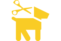 Animal Grooming