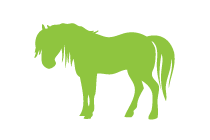 horse